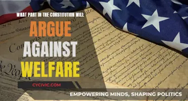 Welfare and the Constitution: A Conflict of Interests