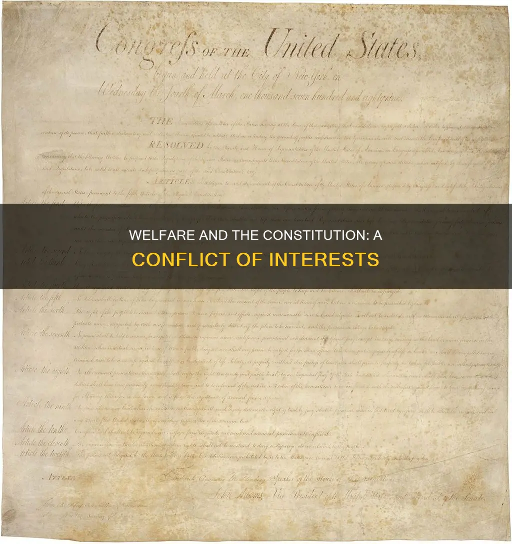 what part in the constitution will argue against welfare