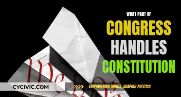 The Constitution and Congress: Understanding Their Interdependence
