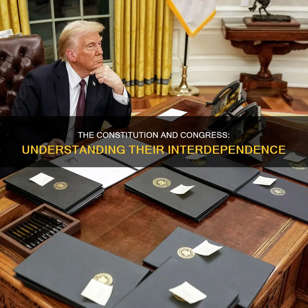 what part of congress handles constitutional