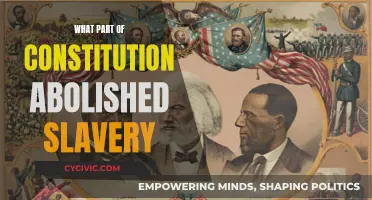 The Constitution's Emancipation Proclamation: Abolishing Slavery's Legacy