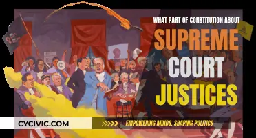 Understanding the Constitution's Supreme Court Justice Provisions