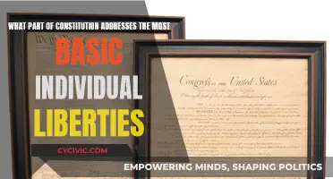The Constitution's Core: Individual Liberties