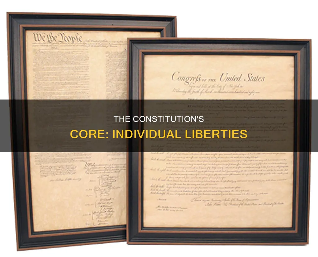 what part of constitution addresses the most basic individual liberties