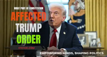 Trump's Orders: Constitutional Clash and Its Impact