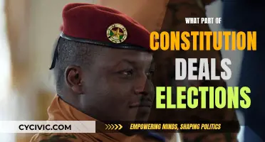Constitution Clauses: Elections and Democracy Explained