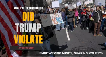 Trump's Constitutional Violations: Abuse of Power