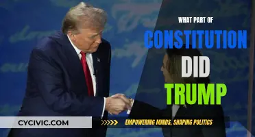Trump's Constitutional Legacy: A Destructive, Chaotic Presidency