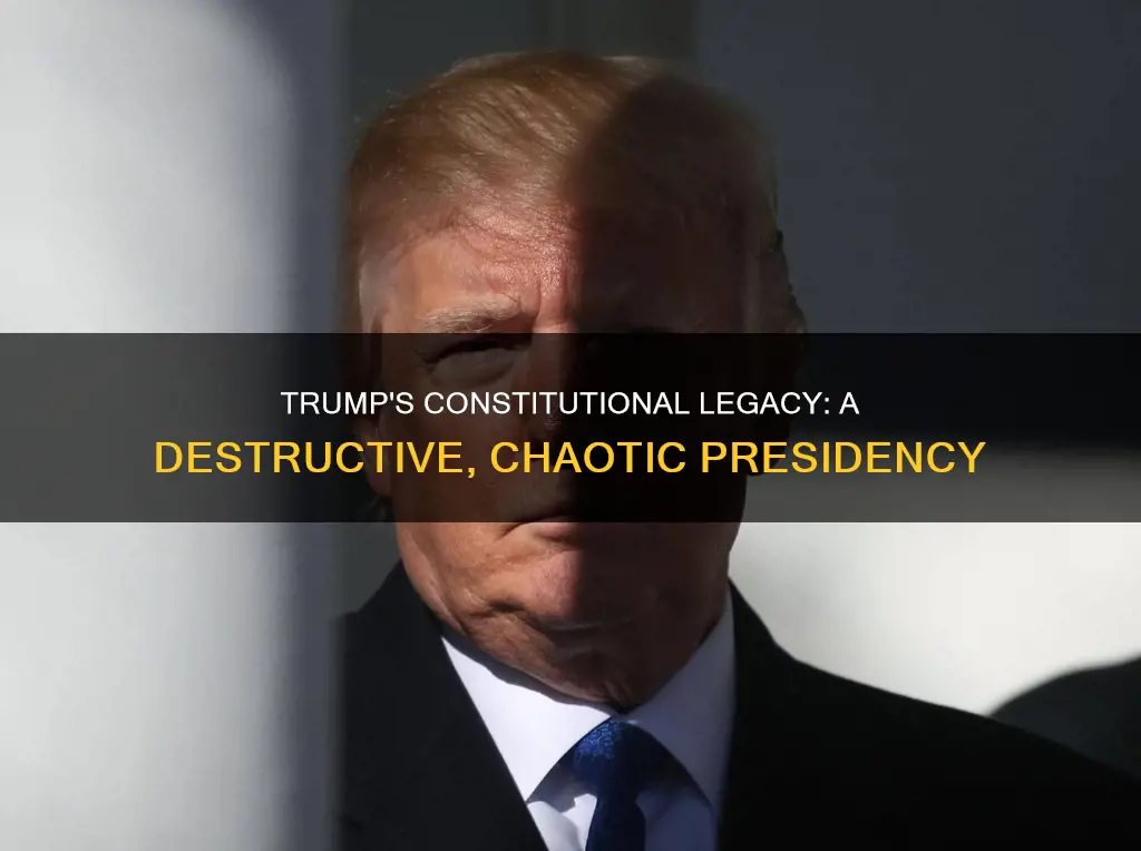 what part of constitution did trump