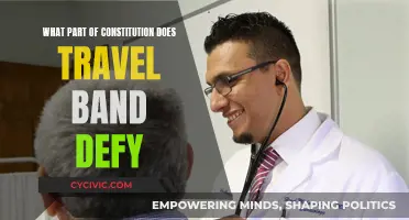 Travel Bans: Defying Constitutional Freedoms and Rights