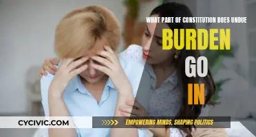 Understanding Undue Burden's Place in the Constitution