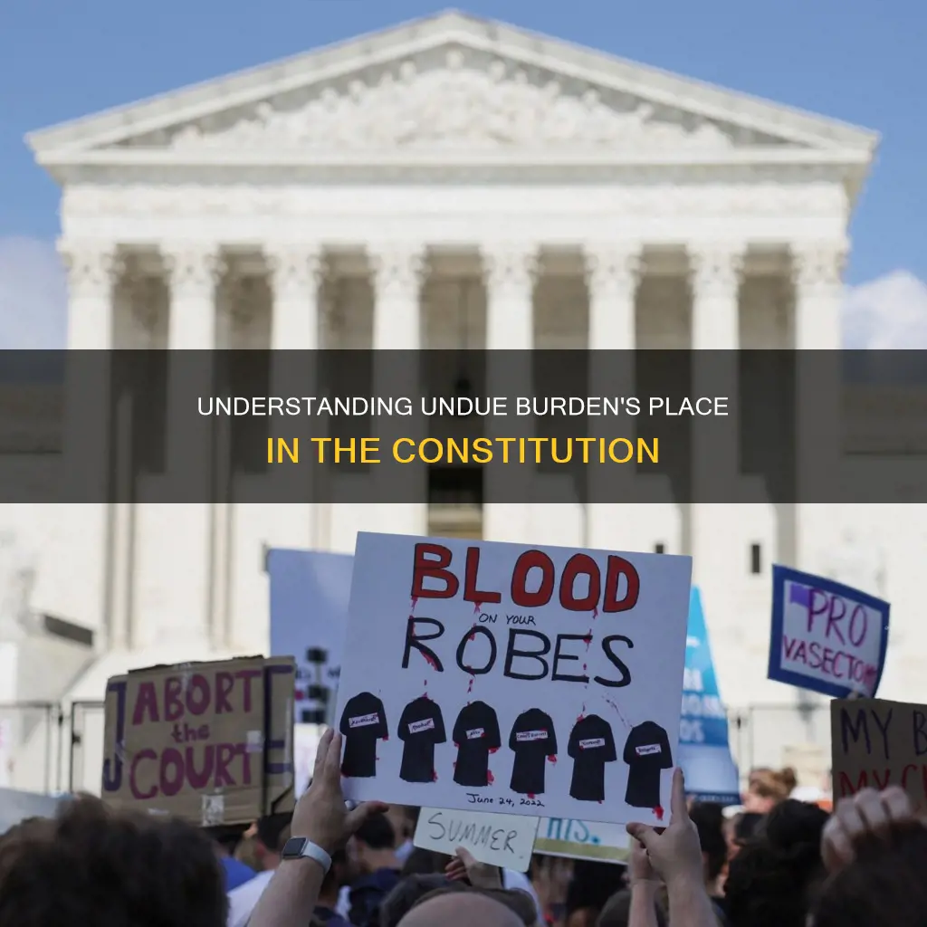 what part of constitution does undue burden go in