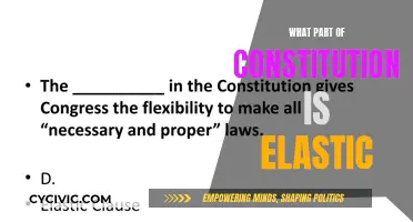 The Elastic Constitution: Adapting to Change