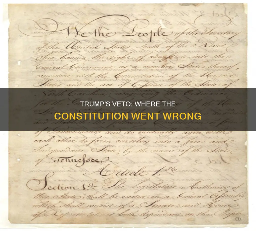 what part of constitution is trump