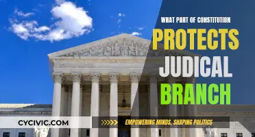 The Judicial Branch: Protected by the Constitution's Power