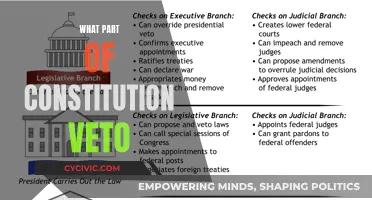 The Veto Power: Constitutional Limits and Checks