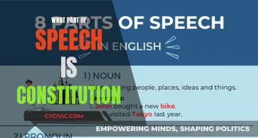 Constitution's Part of Speech: A Complex Classification
