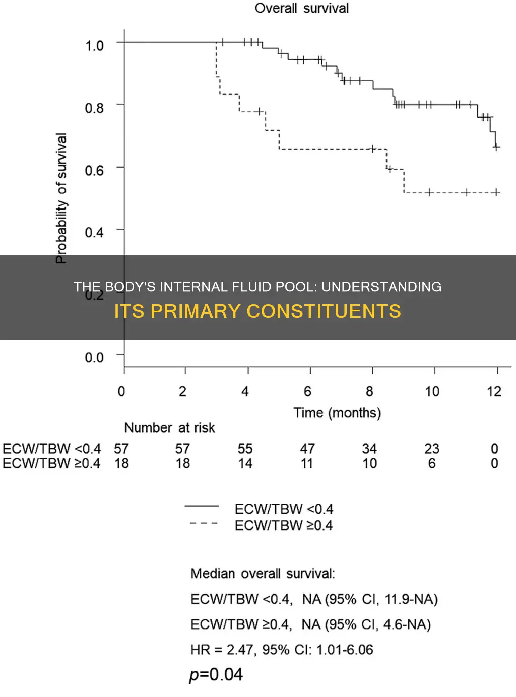 what part of the body constitutes the primary internal pool