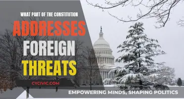 Foreign Threats and the US Constitution