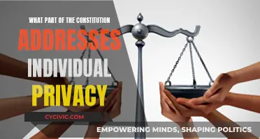 The Constitution and Individual Privacy: What's the Connection?