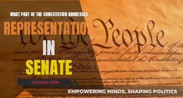 Representation in the Senate: Understanding the Constitution