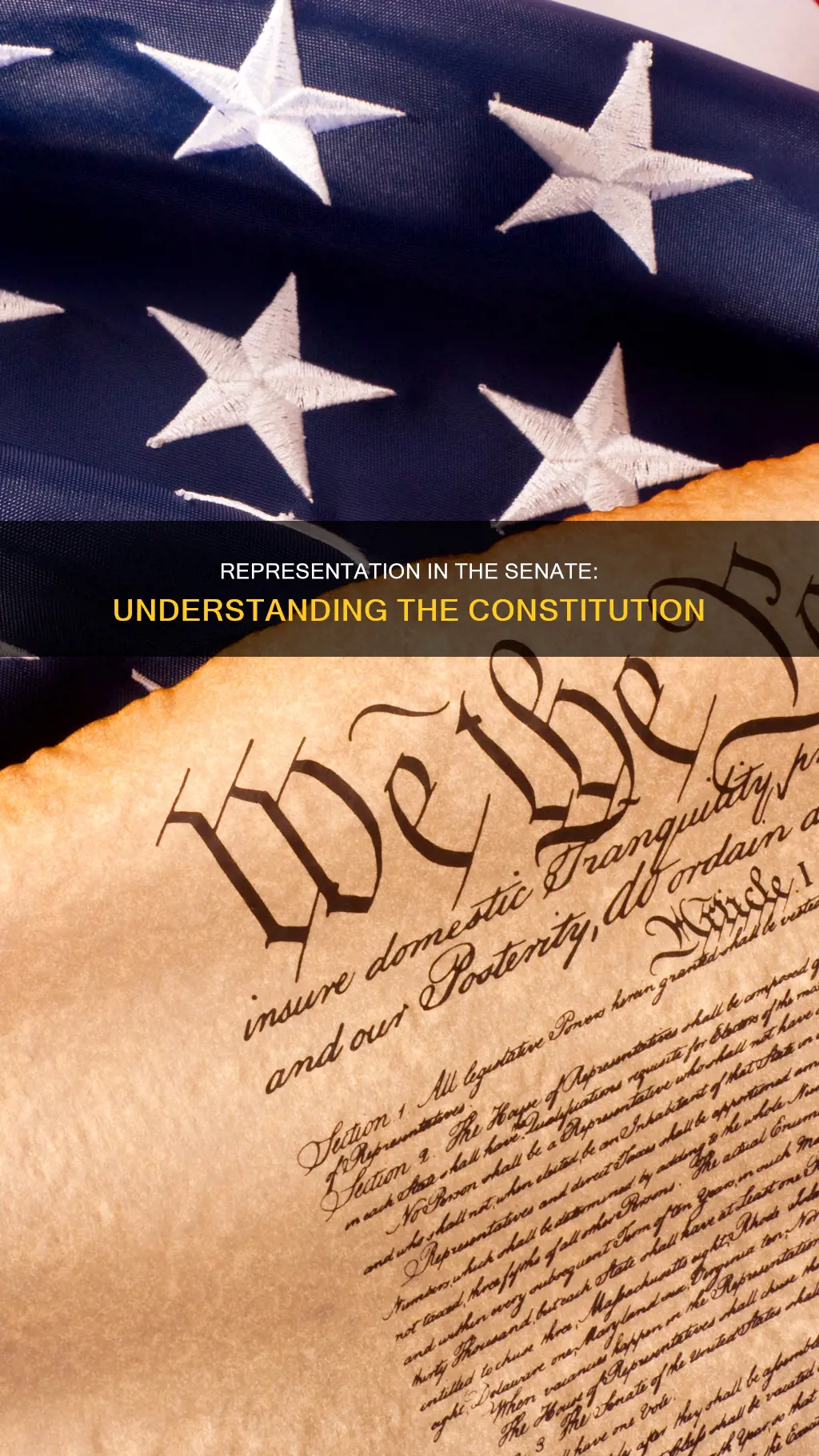 what part of the constitution addresses representation in senate