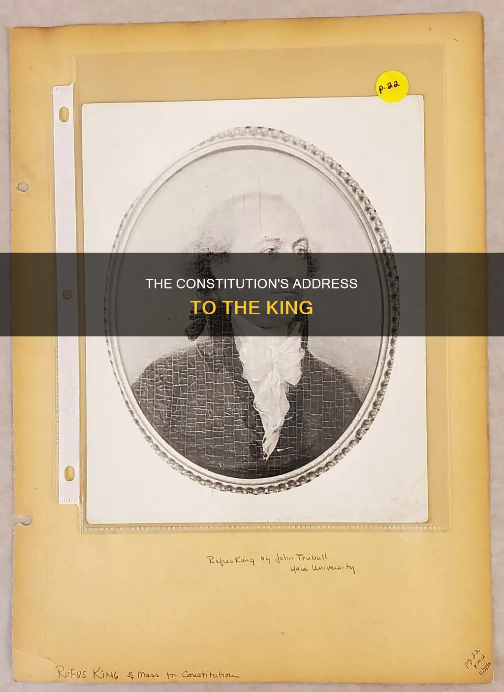 what part of the constitution adresses the king