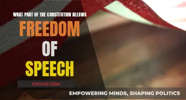 The Constitution's Cornerstone: Freedom of Speech