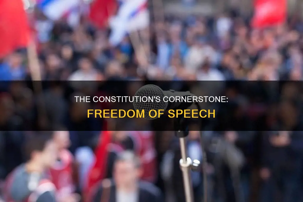 what part of the constitution allows freedom of speech