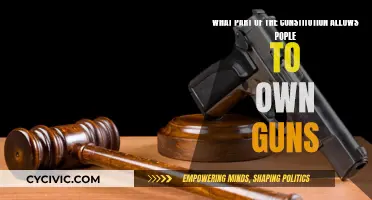 The Right to Bear Arms: Constitutional Gun Ownership