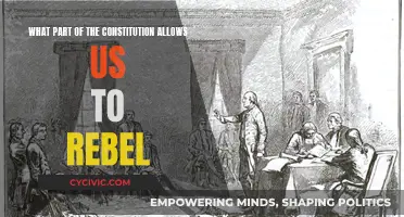 Rebellion and the Constitution: Our Right to Rebel