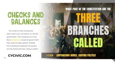 The Three Branches: Understanding the US Constitution
