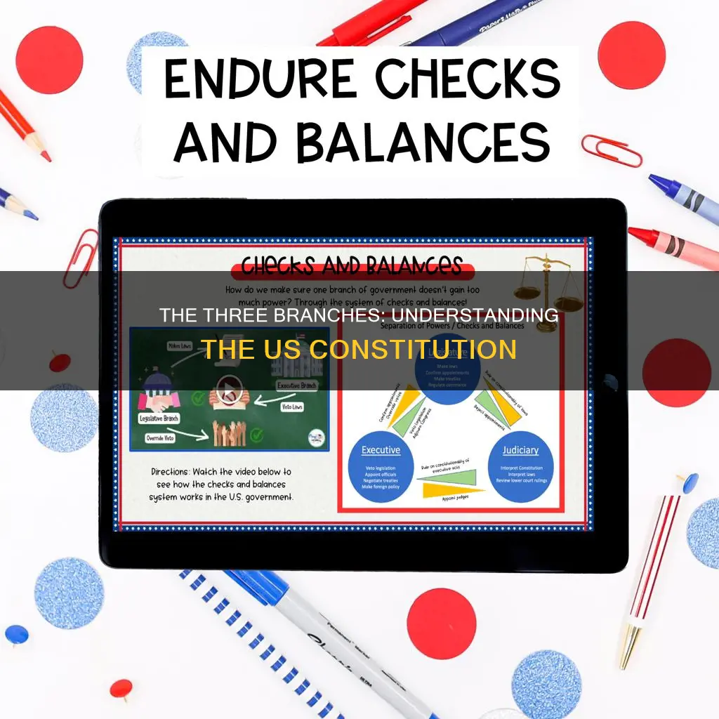what part of the constitution are the three branches called