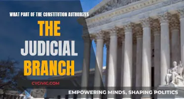 The Judicial Branch: Constitutional Authority Explained