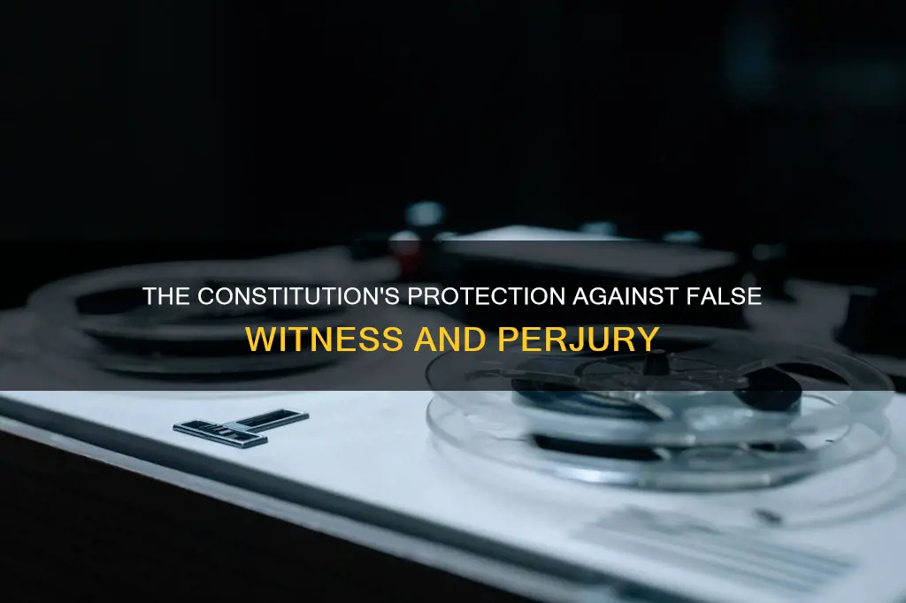 what part of the constitution bans false witness