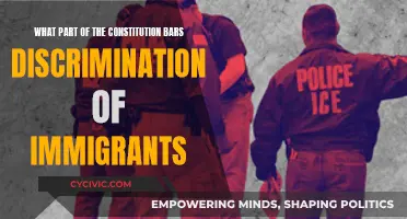 The Constitution's Promise: Equality for Immigrants