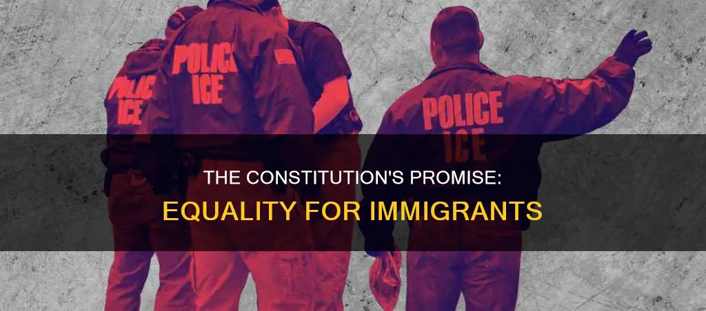 what part of the constitution bars discrimination of immigrants