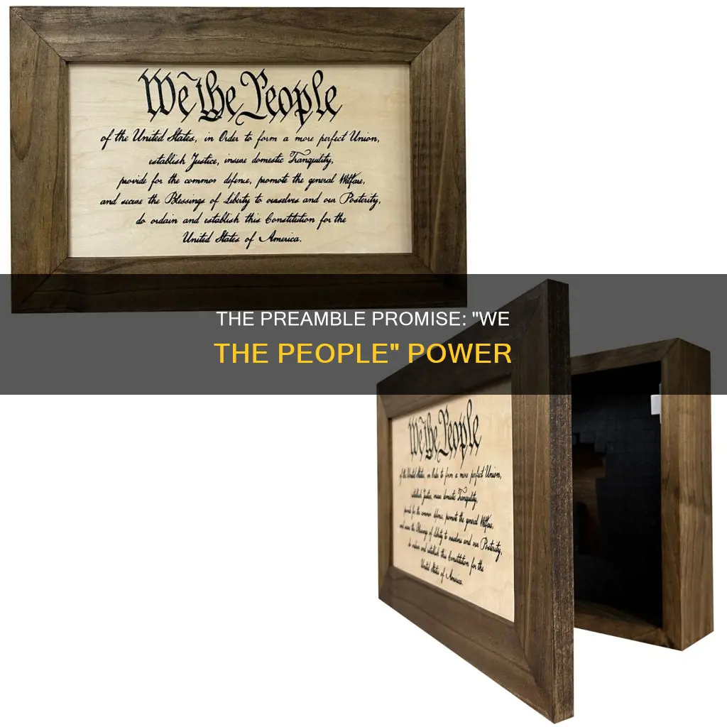 what part of the constitution begins we the people