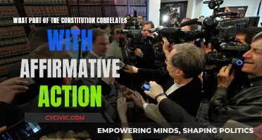 Affirmative Action's Constitutional Roots: Exploring the Correlation