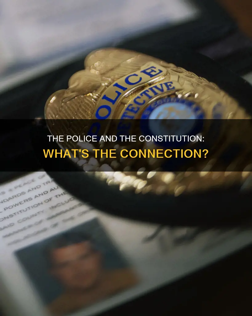 what part of the constitution covers the police