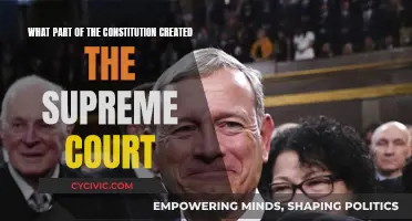 The Supreme Court's Constitutional Origins