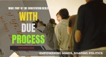 The Constitution's Due Process: A Fundamental Right