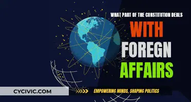 Foreign Affairs and the Constitution: Who's in Charge?