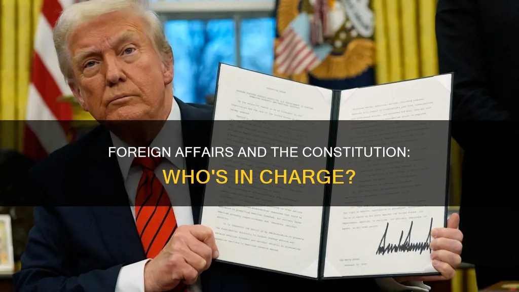 what part of the constitution deals with foregn affairs