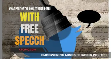 The Constitution's First Amendment: Free Speech Cornerstone