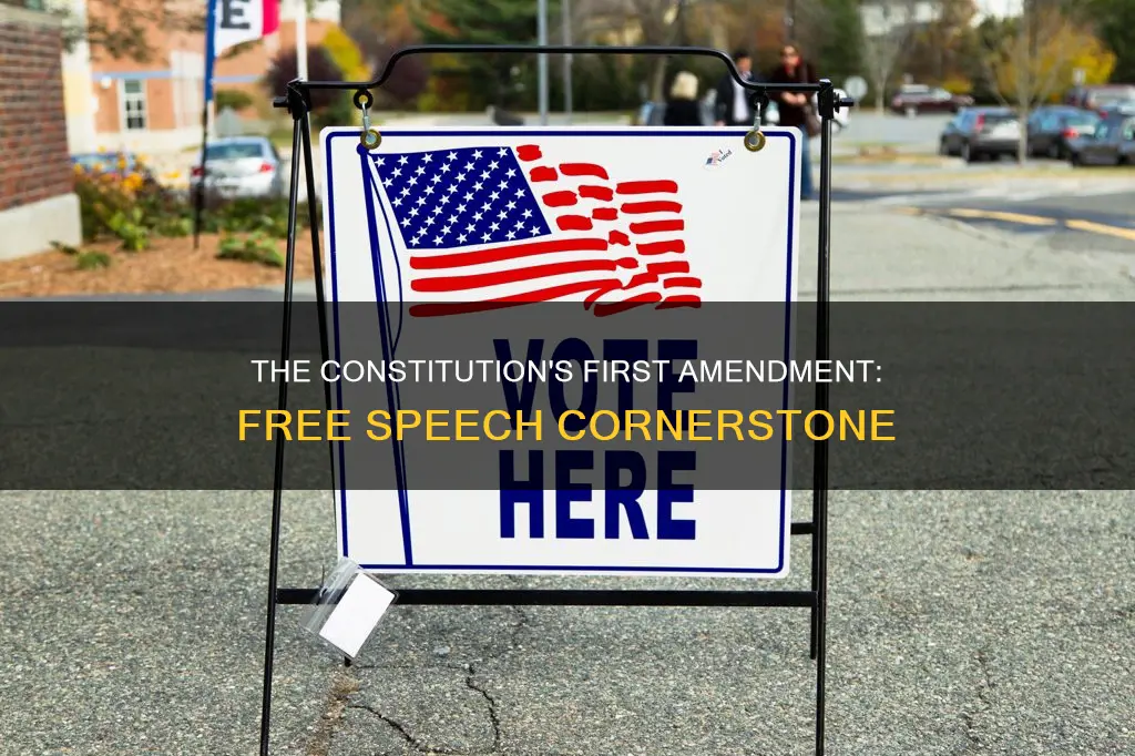what part of the constitution deals with free specch