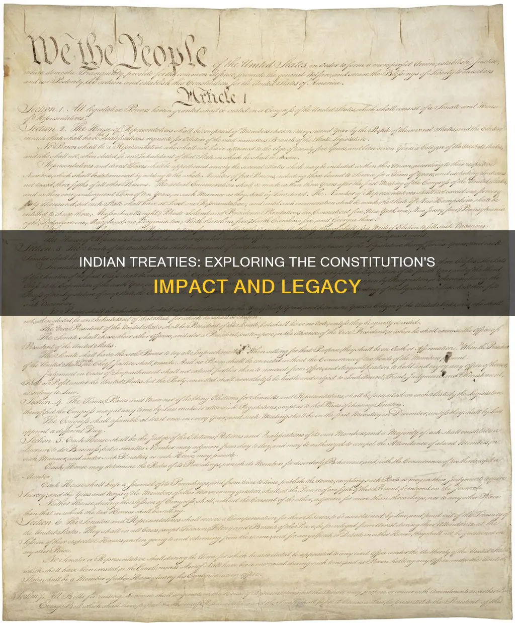 what part of the constitution deals with indian treaties