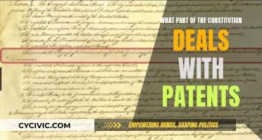 Patent Rights: Exploring the US Constitution's Innovation Clause