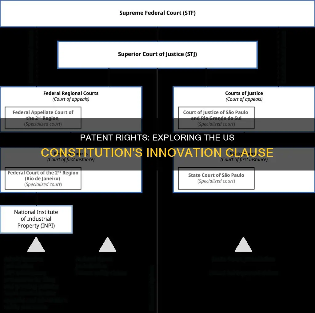 what part of the constitution deals with patents