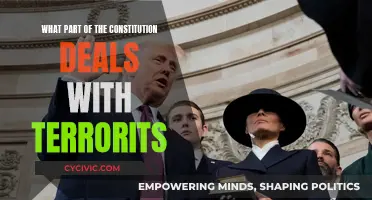 The Constitution's Guide to Dealing with Terrorism